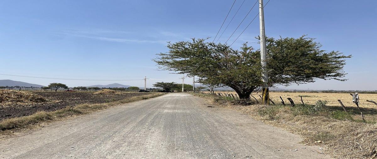 Foto de terreno industrial en camino a los invernaderos , san miguel cuyutlan, tlajomulco de zúñiga, jalisco, 0 foto 03 Foto de terreno industrial en venta en camino a los invernaderos , san miguel cuyutlan, tlajomulco de zúñiga, jalisco, 0 No. 03
