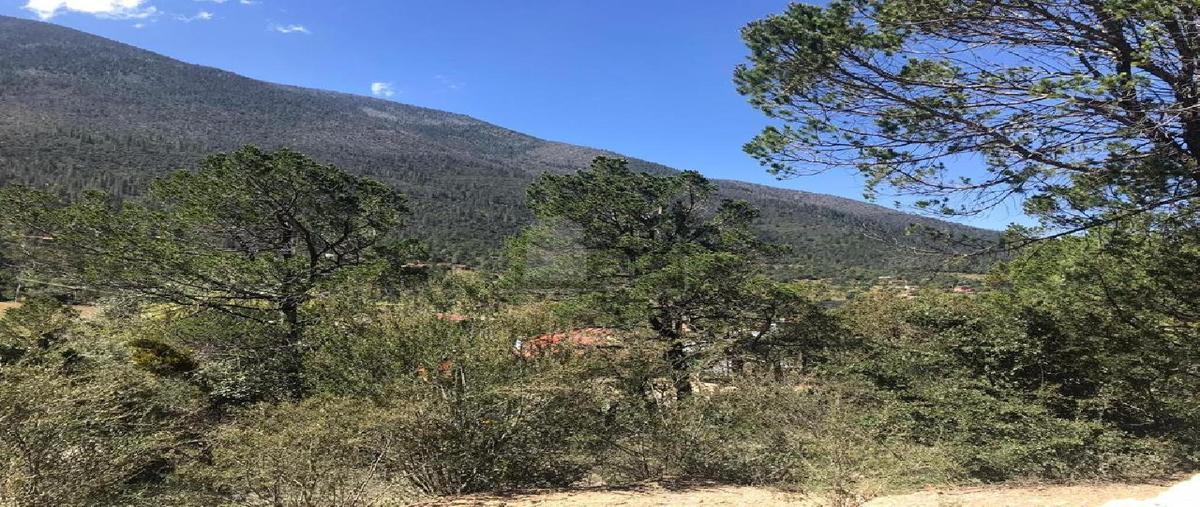 Foto de terreno industrial en venta en camino a los lirios 1000, los lirios, arteaga, coahuila de zaragoza, 25327702 No. 05