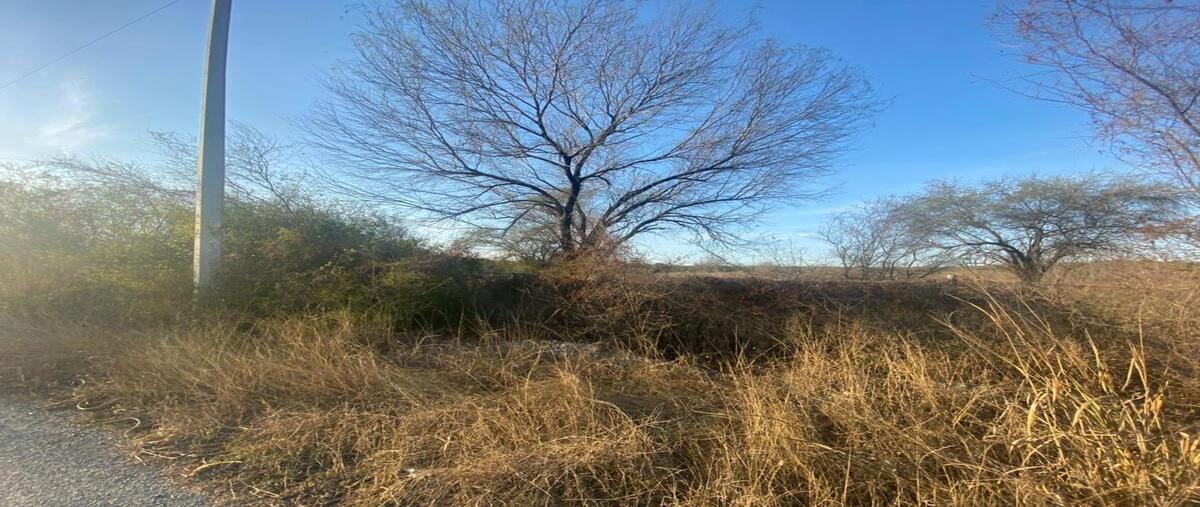 Foto de terreno habitacional en venta en camino a los sabinos , san lorenzo, cadereyta jiménez, nuevo león, 28164999 No. 03