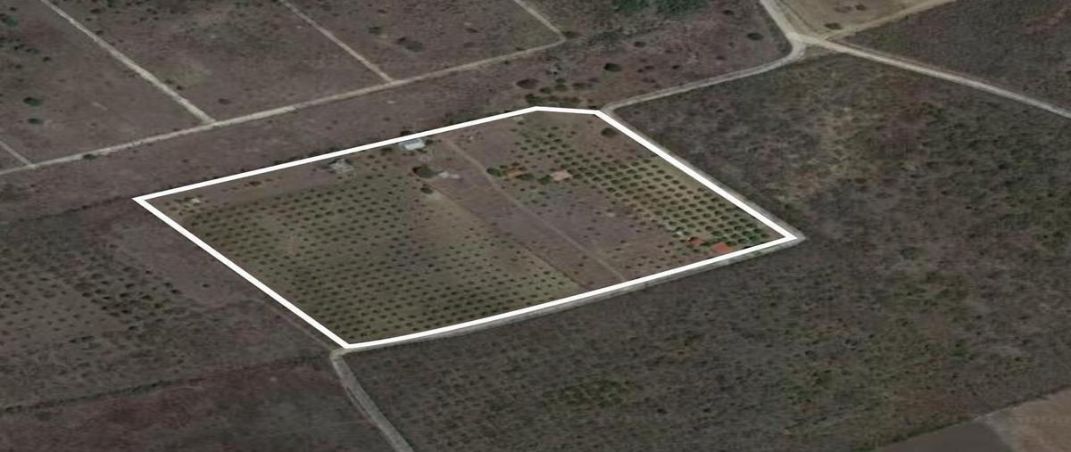 Foto de terreno habitacional en venta en camino a los sabinos , san lorenzo, cadereyta jiménez, nuevo león, 28164999 No. 05