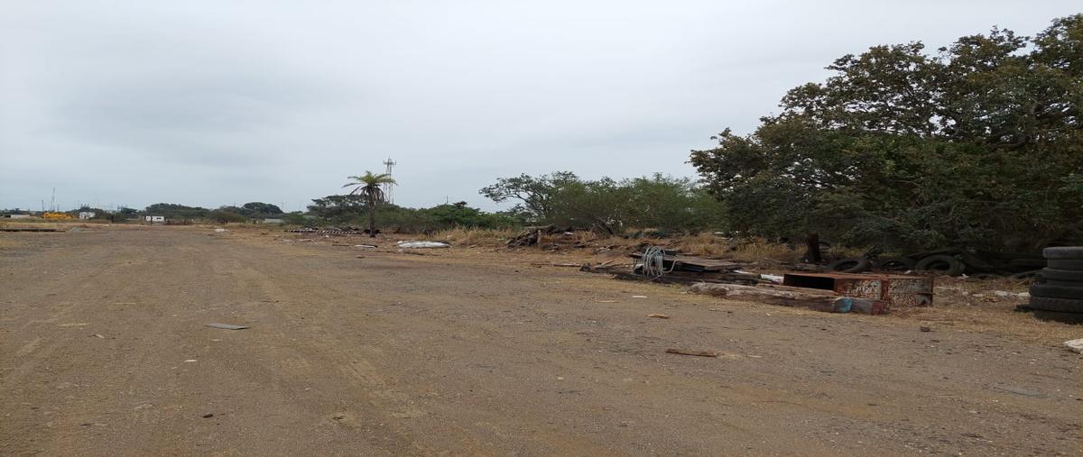 Foto de terreno industrial en camino a medrano , villas de altamira, altamira, tamaulipas, 28174368 foto 10 Foto de terreno industrial en venta en camino a medrano , villas de altamira, altamira, tamaulipas, 28174368 No. 10