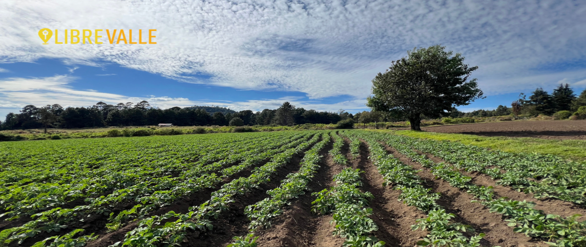 Foto de terreno habitacional en venta en camino a mesa de dolores , rincón villa del valle, valle de bravo, méxico, 27700710 No. 03