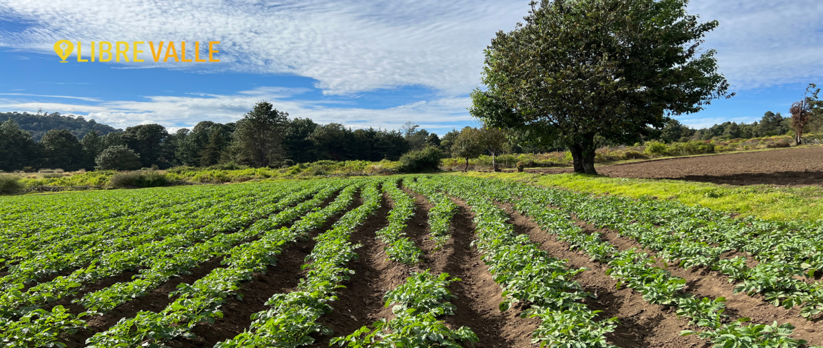 Foto de terreno habitacional en venta en camino a mesa de dolores , rincón villa del valle, valle de bravo, méxico, 27700710 No. 04