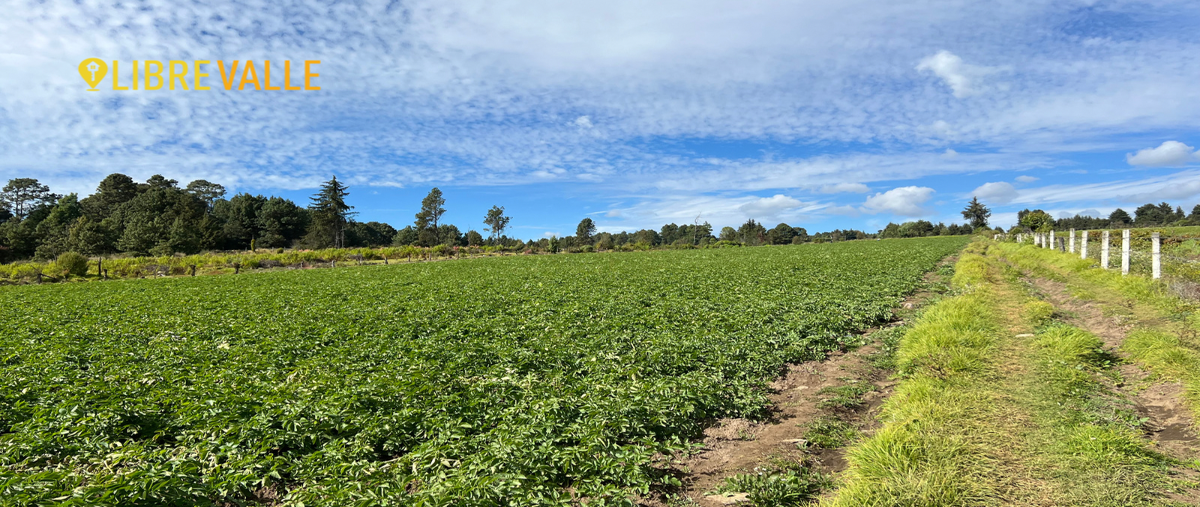 Foto de terreno habitacional en venta en camino a mesa de dolores , rincón villa del valle, valle de bravo, méxico, 27700710 No. 05