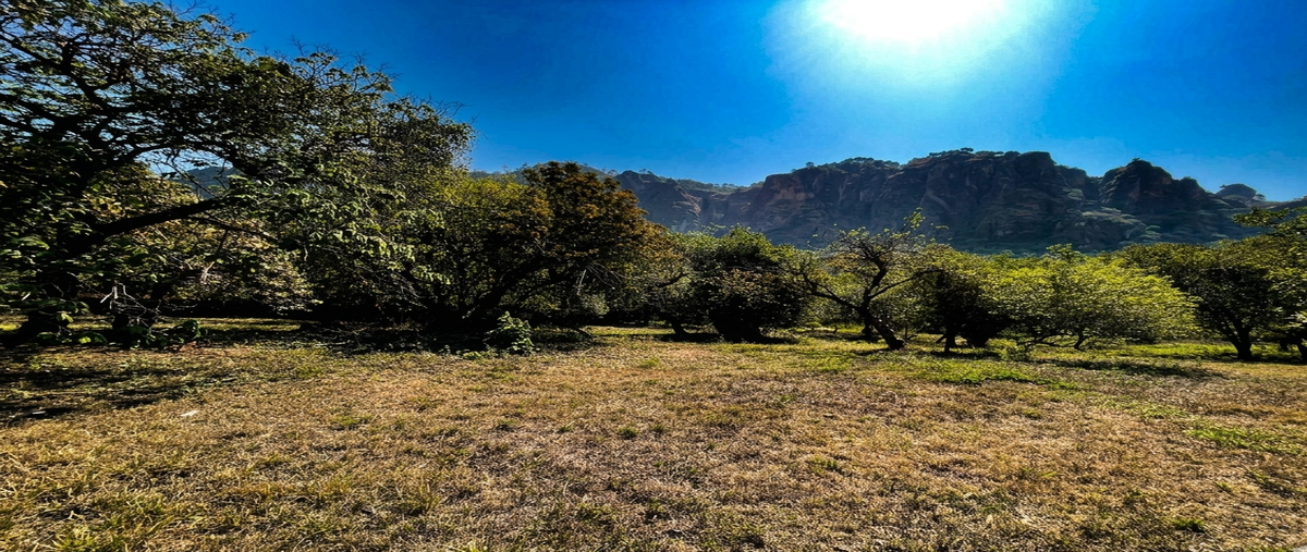 Foto de terreno habitacional en venta en camino a meztitla , santo domingo, tepoztlán, morelos, 31317214 No. 02