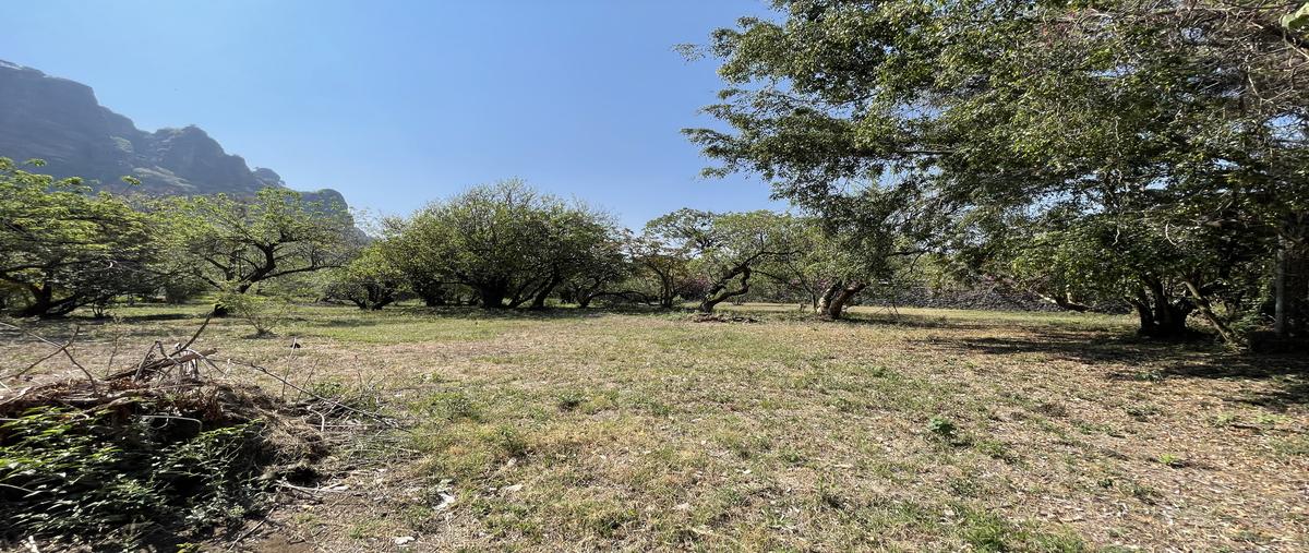 Foto de terreno habitacional en venta en camino a meztitla , santo domingo, tepoztlán, morelos, 31317214 No. 03