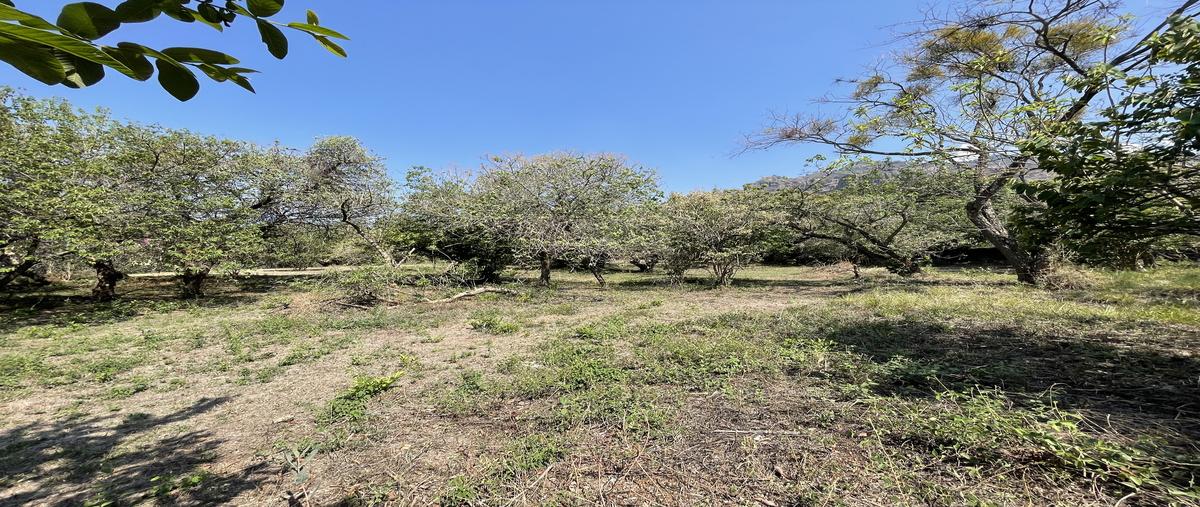 Foto de terreno habitacional en venta en camino a meztitla , santo domingo, tepoztlán, morelos, 31317214 No. 05