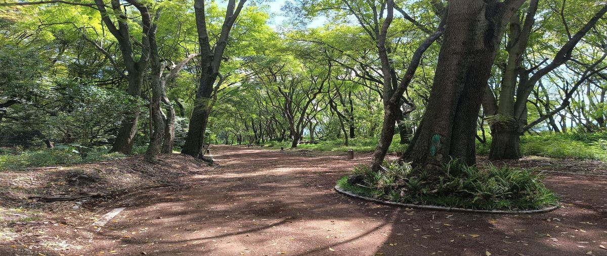 Foto de terreno habitacional en camino a nexatengo , el carmen, atlixco, puebla, 27492771 foto 03 Foto de terreno habitacional en venta en camino a nexatengo , el carmen, atlixco, puebla, 27492771 No. 03
