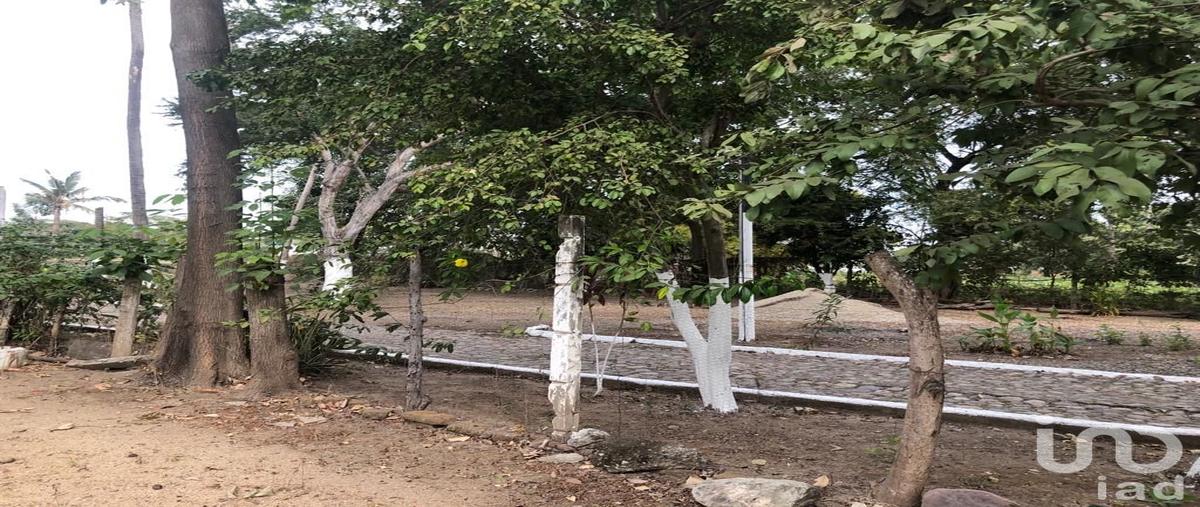 Foto de terreno habitacional en renta en camino a nuevo vallarta s/n , las jarretaderas, bahía de banderas, nayarit, 0 No. 02