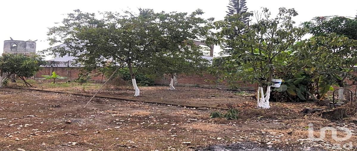 Foto de terreno habitacional en renta en camino a nuevo vallarta s/n , las jarretaderas, bahía de banderas, nayarit, 0 No. 04
