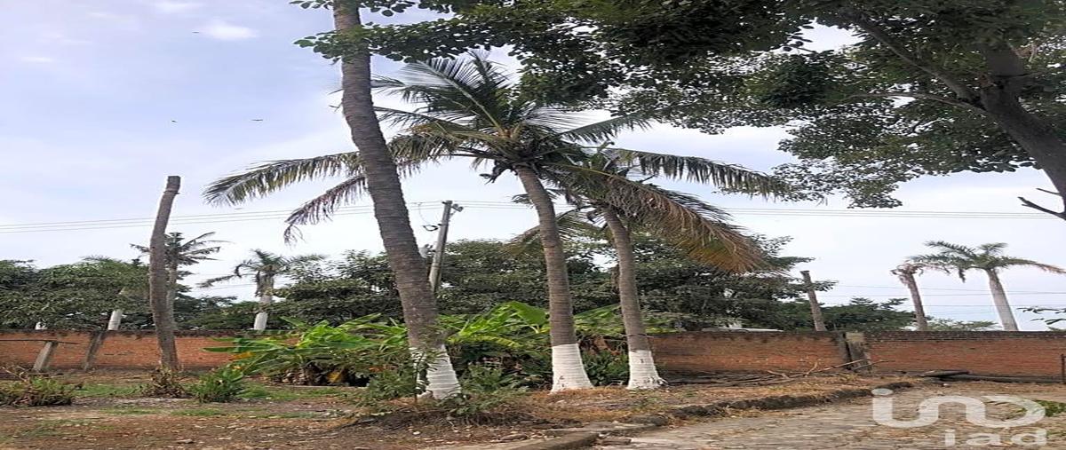 Foto de terreno habitacional en renta en camino a nuevo vallarta s/n , las jarretaderas, bahía de banderas, nayarit, 0 No. 05