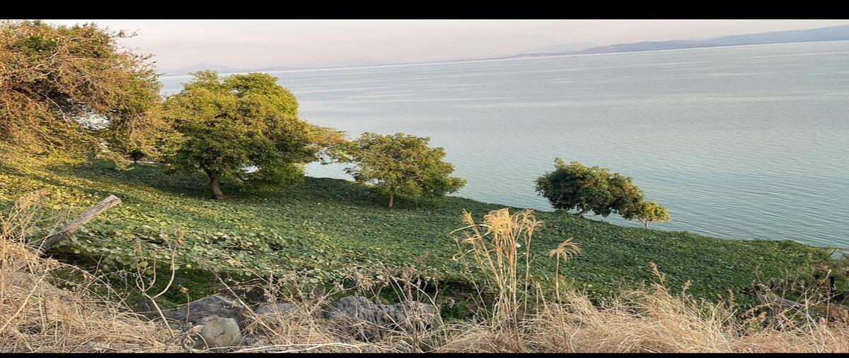 Foto de terreno habitacional en camino a ocotlán. , cuitzeo, poncitlán, jalisco, 30441491 foto 02 Foto de terreno habitacional en venta en camino a ocotlán. , cuitzeo, poncitlán, jalisco, 30441491 No. 02