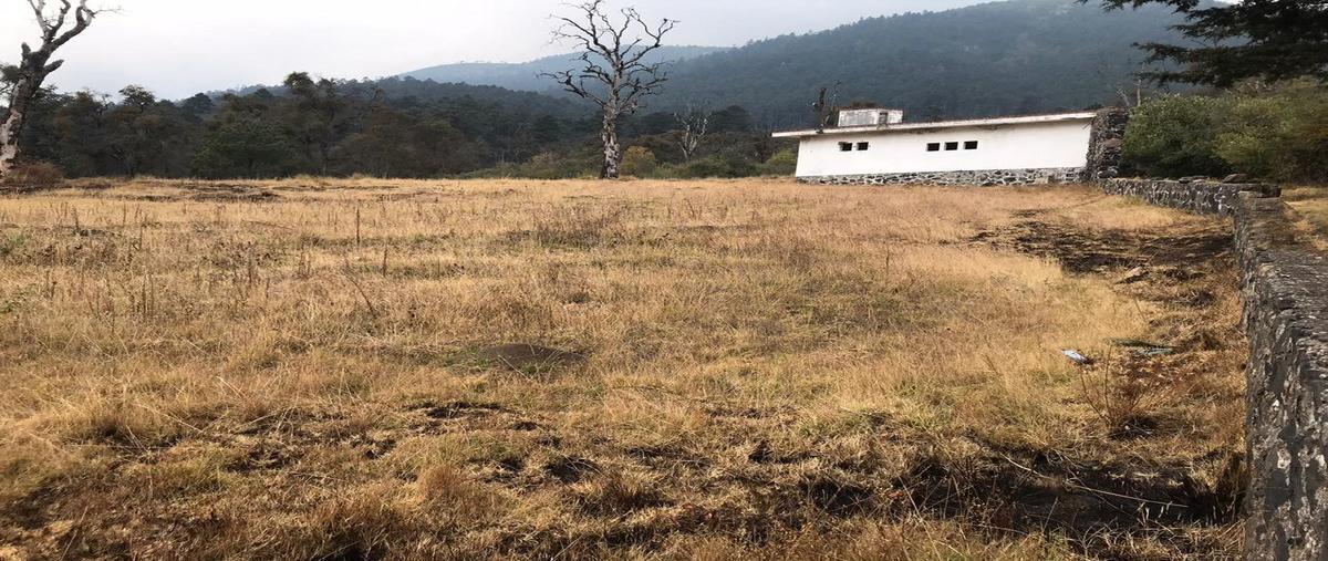 Foto de terreno habitacional en venta en camino a ojo de agua , santo tomas ajusco, tlalpan, df / cdmx, 0 No. 01