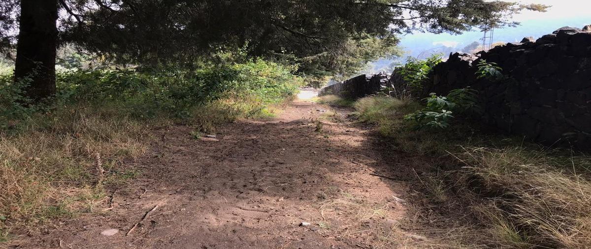 Foto de terreno habitacional en venta en camino a ojo de agua , santo tomas ajusco, tlalpan, df / cdmx, 0 No. 02