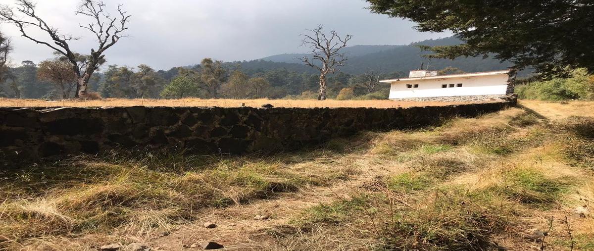 Foto de terreno habitacional en venta en camino a ojo de agua , santo tomas ajusco, tlalpan, df / cdmx, 0 No. 03