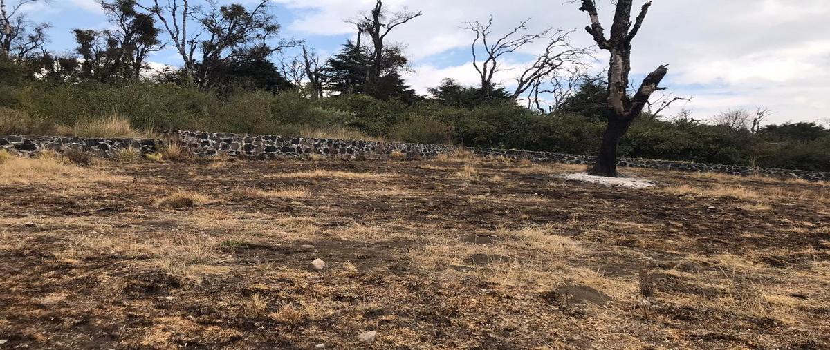 Foto de terreno habitacional en venta en camino a ojo de agua , santo tomas ajusco, tlalpan, df / cdmx, 0 No. 05