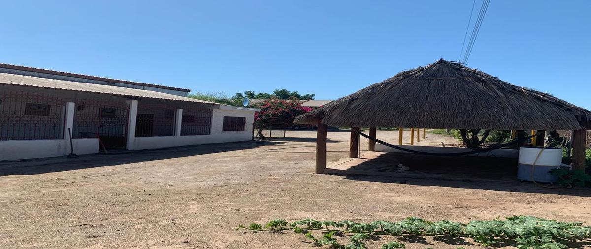 Foto de rancho en venta en camino a pericos , pericos, mocorito, sinaloa, 25254264 No. 03