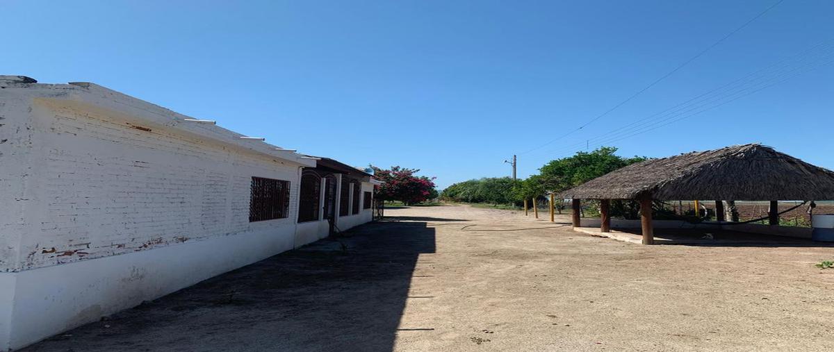 Foto de rancho en venta en camino a pericos , pericos, mocorito, sinaloa, 25254264 No. 04