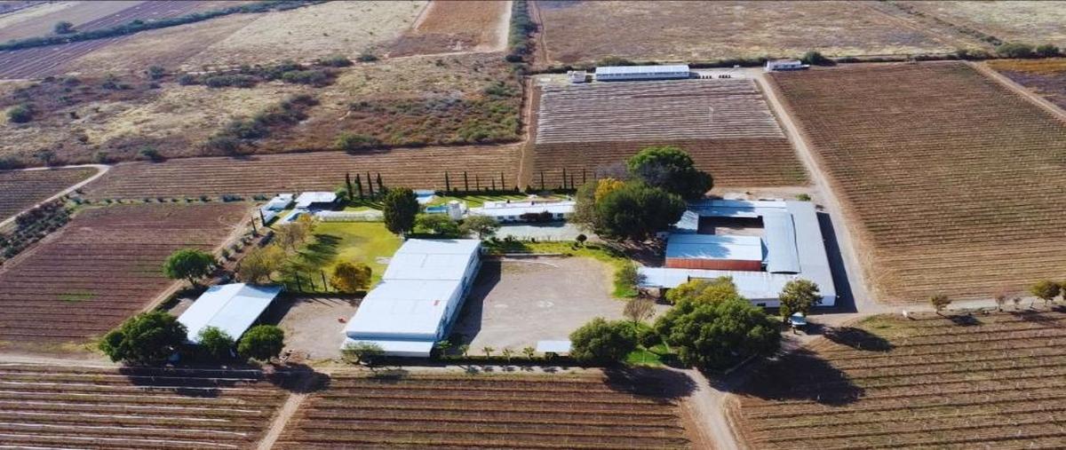 Foto de rancho en camino a piedra gorda zacatecas, kilometro 5, ojocaliente, zac. 1, concepción, ojocaliente, zacatecas, 30714022 foto 01 Foto de rancho en venta en camino a piedra gorda zacatecas, kilometro 5, ojocaliente, zac. 1, concepción, ojocaliente, zacatecas, 30714022 No. 01