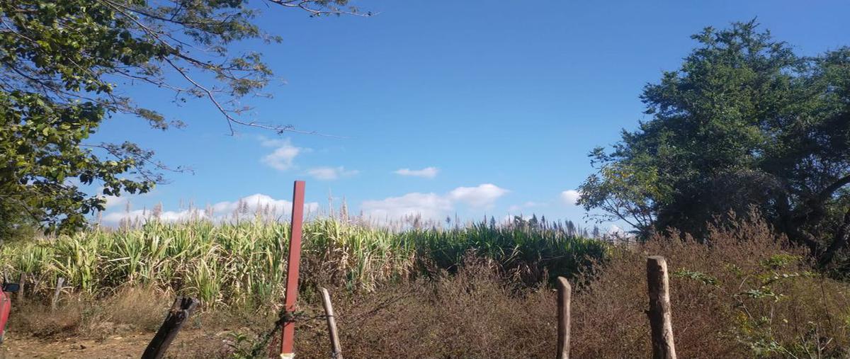 Foto de terreno comercial en venta en camino a pintores i 1, real de mendoza, comala, colima, 24343931 No. 01