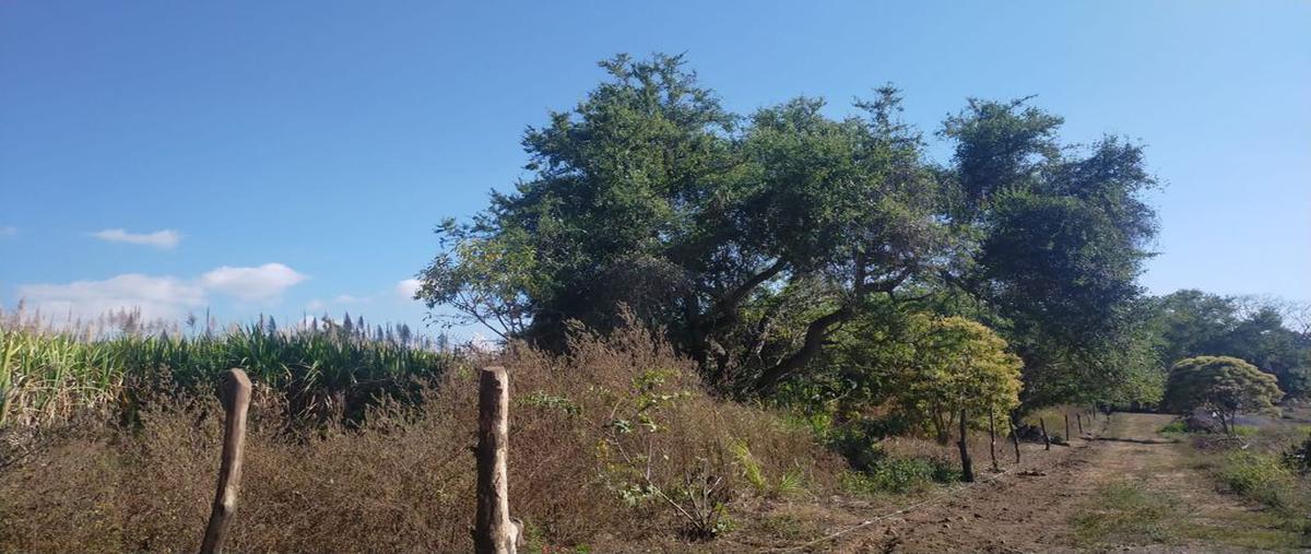 Foto de terreno comercial en venta en camino a pintores i 1, real de mendoza, comala, colima, 24343931 No. 02