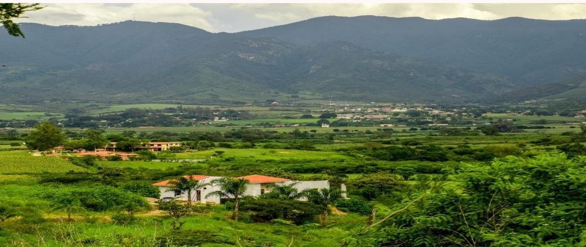 Foto de terreno habitacional en venta en camino a potrerillos , el cerrito, talpa de allende, jalisco, 30189958 No. 03