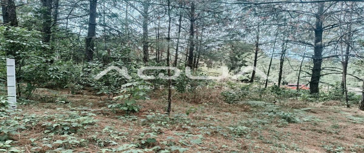 Foto de terreno habitacional en venta en camino a ros marino , valle de bravo, valle de bravo, méxico, 0 No. 04