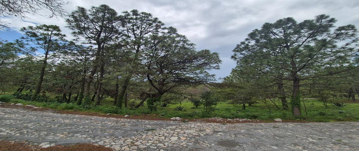 Foto de terreno habitacional en camino a san agustin kilometro 0.8 0, atacco, tapalpa, jalisco, 0 foto 04 Foto de terreno habitacional en venta en camino a san agustin kilometro 0.8 0, atacco, tapalpa, jalisco, 0 No. 04