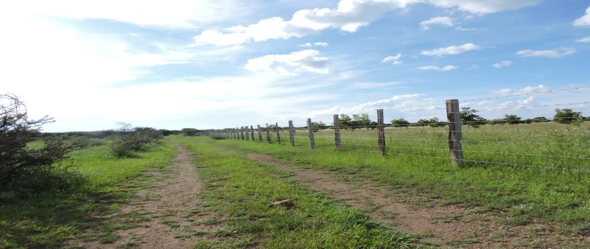 Foto de terreno comercial en venta en camino a san francisco del manzanal , san francisco del manzanal, durango, durango, 0 No. 03