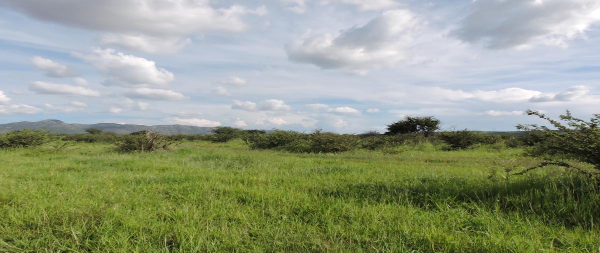 Foto de terreno comercial en venta en camino a san francisco del manzanal , san francisco del manzanal, durango, durango, 0 No. 04