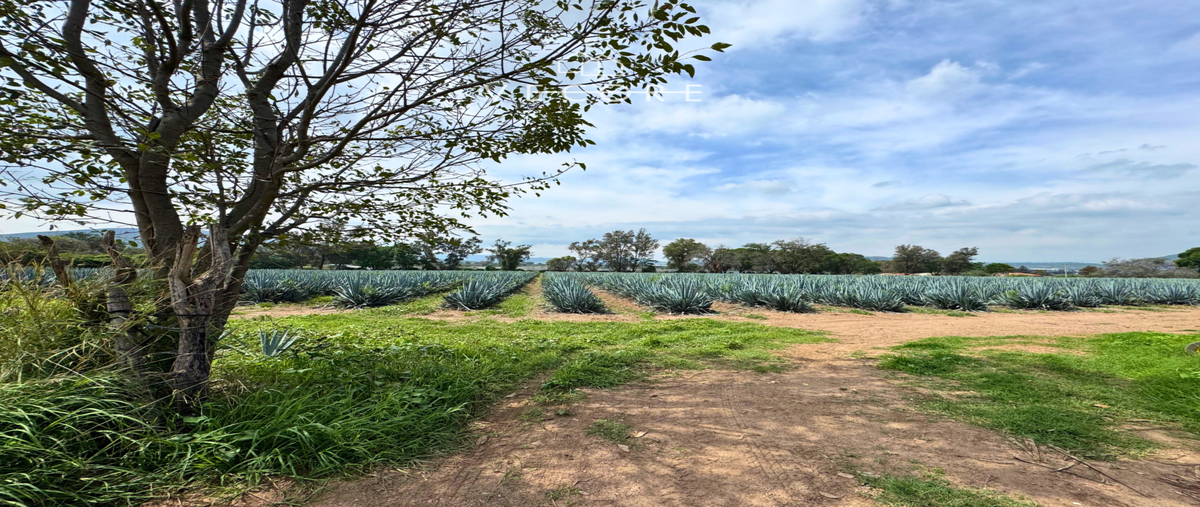 Foto de terreno habitacional en venta en camino a san isidro mazatepec , los gavilanes, tlajomulco de zúñiga, jalisco, 0 No. 09