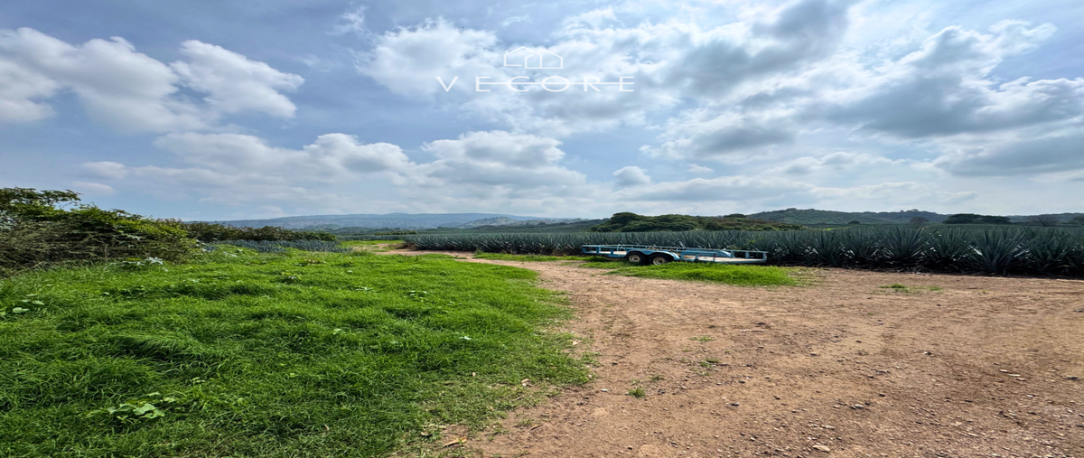 Foto de terreno habitacional en venta en camino a san isidro mazatepec , los gavilanes, tlajomulco de zúñiga, jalisco, 0 No. 10