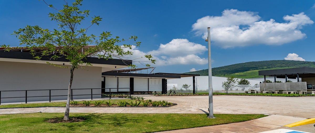 Foto de nave industrial en renta en camino a san isidro mazatepec , santa cruz de las flores, tlajomulco de zúñiga, jalisco, 30350625 No. 07