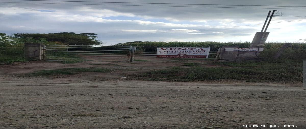 Foto de terreno comercial en venta en camino a san isidro mazatepec , villa california, tlajomulco de zúñiga, jalisco, 28786148 No. 03