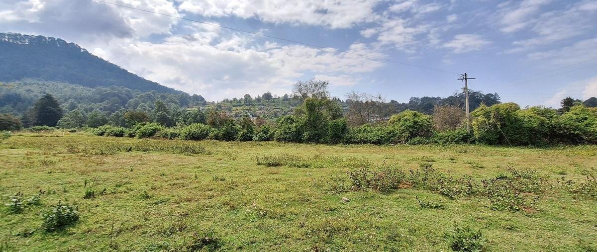 Foto de terreno habitacional en camino a san jerónimo , san jerónimo, amanalco, méxico, 0 foto 01 Foto de terreno habitacional en venta en camino a san jerónimo , san jerónimo, amanalco, méxico, 0 No. 01