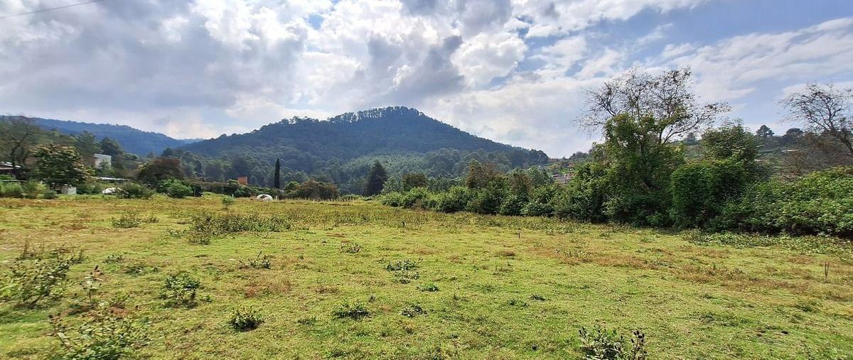 Foto de terreno habitacional en camino a san jerónimo , san jerónimo, amanalco, méxico, 0 foto 05 Foto de terreno habitacional en venta en camino a san jerónimo , san jerónimo, amanalco, méxico, 0 No. 05