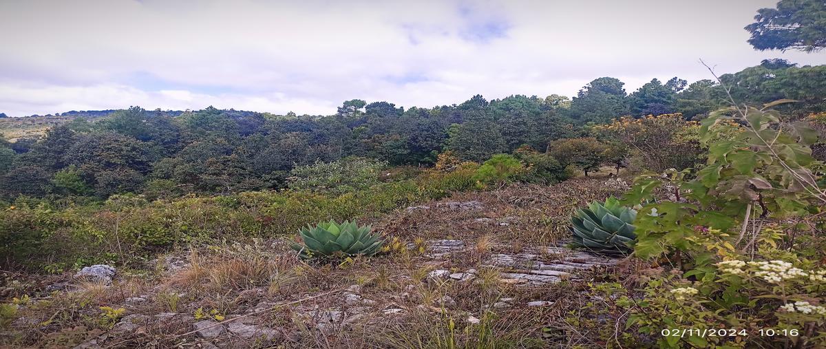 Foto de terreno habitacional en venta en camino a san josé buena vista , maría auxiliadora, san cristóbal de las casas, chiapas, 28905657 No. 03