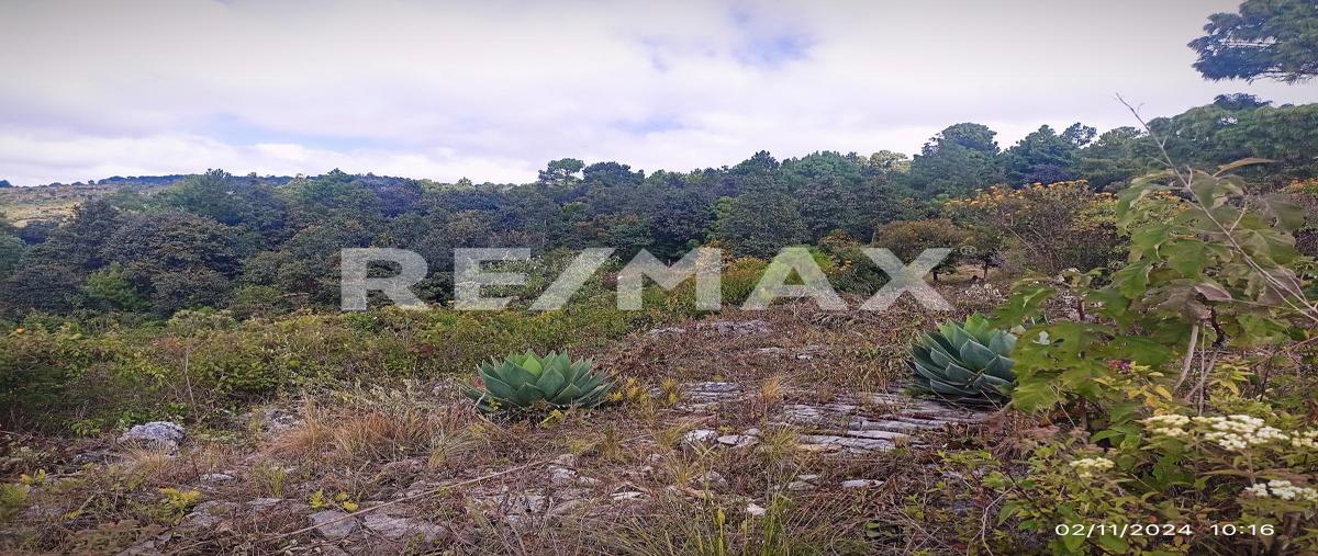 Foto de terreno habitacional en venta en camino a san josé buena vista , maría auxiliadora, san cristóbal de las casas, chiapas, 0 No. 03