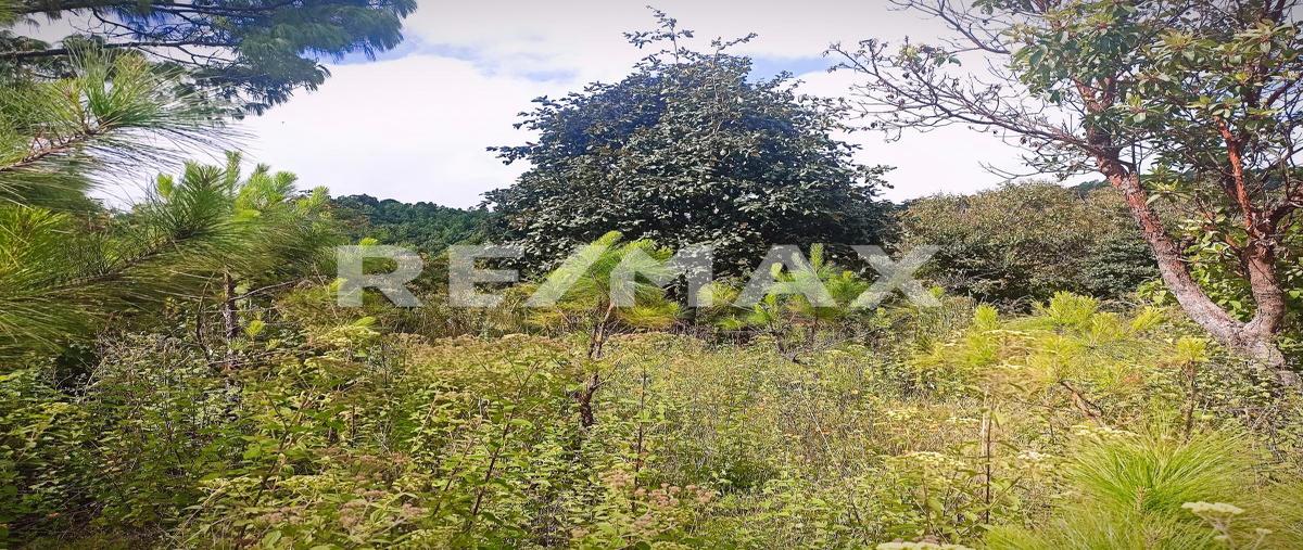 Foto de terreno habitacional en venta en camino a san josé buena vista , maría auxiliadora, san cristóbal de las casas, chiapas, 0 No. 04