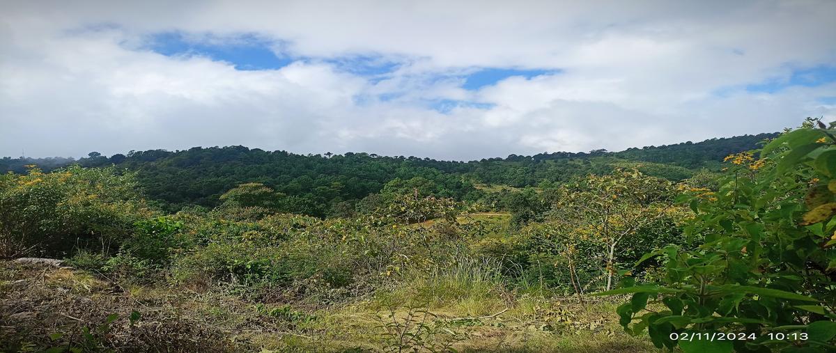 Foto de terreno habitacional en venta en camino a san josé buena vista , maría auxiliadora, san cristóbal de las casas, chiapas, 28905657 No. 05