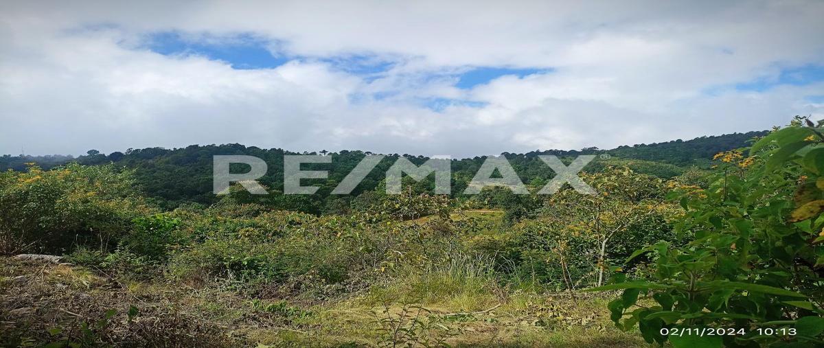 Foto de terreno habitacional en venta en camino a san josé buena vista , maría auxiliadora, san cristóbal de las casas, chiapas, 0 No. 05