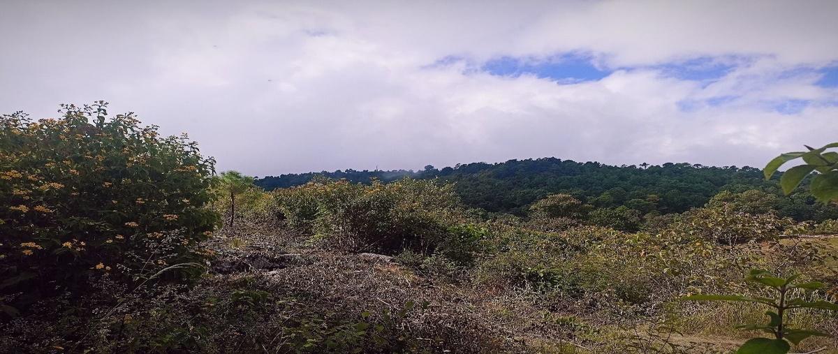 Foto de terreno habitacional en venta en camino a san josé buena vista , maría auxiliadora, san cristóbal de las casas, chiapas, 0 No. 03