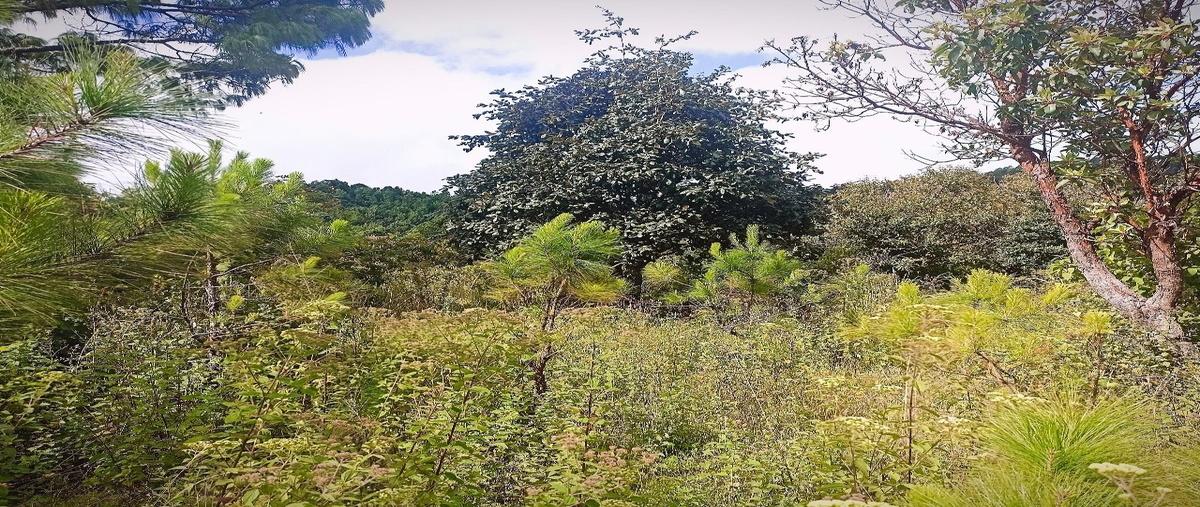 Foto de terreno habitacional en venta en camino a san josé buena vista , maría auxiliadora, san cristóbal de las casas, chiapas, 0 No. 04