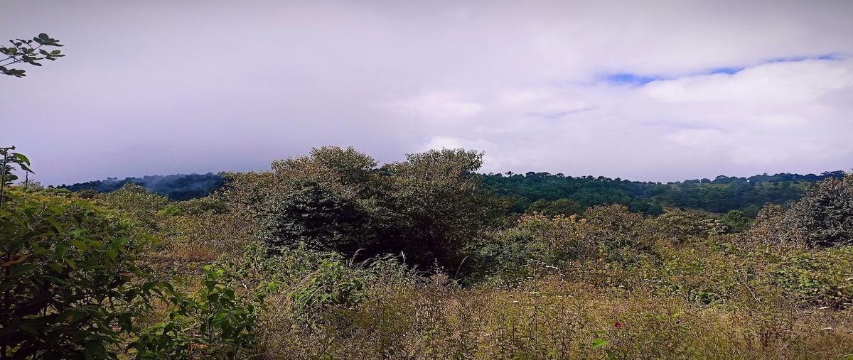Foto de terreno habitacional en venta en camino a san josé buena vista , maría auxiliadora, san cristóbal de las casas, chiapas, 0 No. 05