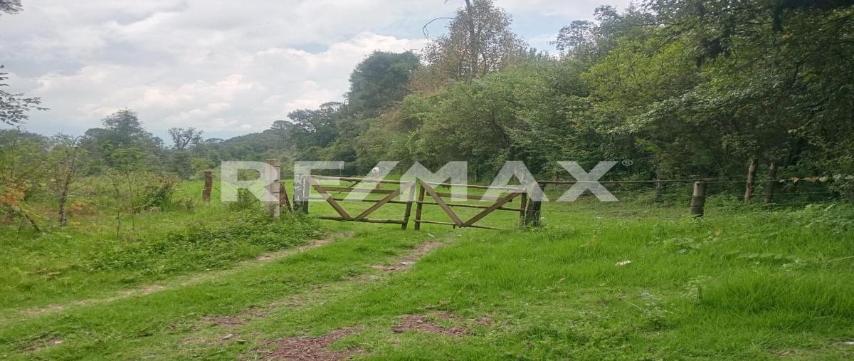 Foto de terreno habitacional en camino a san josé potrerillos , cuadrilla de dolores, valle de bravo, méxico, 0 foto 01 Foto de terreno habitacional en venta en camino a san josé potrerillos , cuadrilla de dolores, valle de bravo, méxico, 0 No. 01