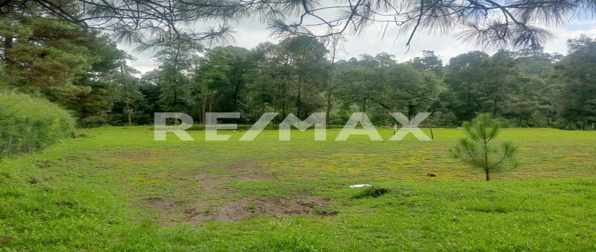 Foto de terreno habitacional en camino a san josé potrerillos , cuadrilla de dolores, valle de bravo, méxico, 0 foto 03 Foto de terreno habitacional en venta en camino a san josé potrerillos , cuadrilla de dolores, valle de bravo, méxico, 0 No. 03