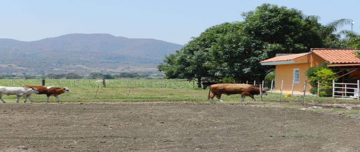 Foto de rancho en venta en camino a san juan , cuisillos, tala, jalisco, 26653742 No. 01