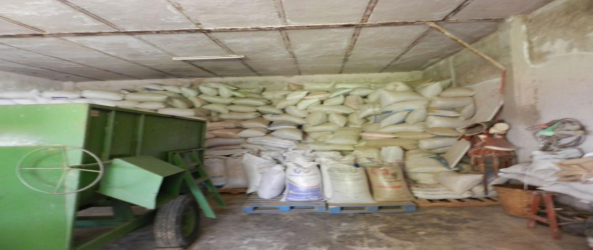 Foto de rancho en venta en camino a san juan , cuisillos, tala, jalisco, 26653742 No. 03