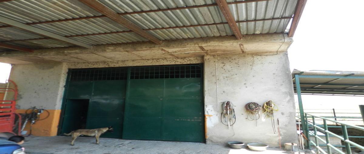 Foto de rancho en venta en camino a san juan , cuisillos, tala, jalisco, 26653742 No. 05