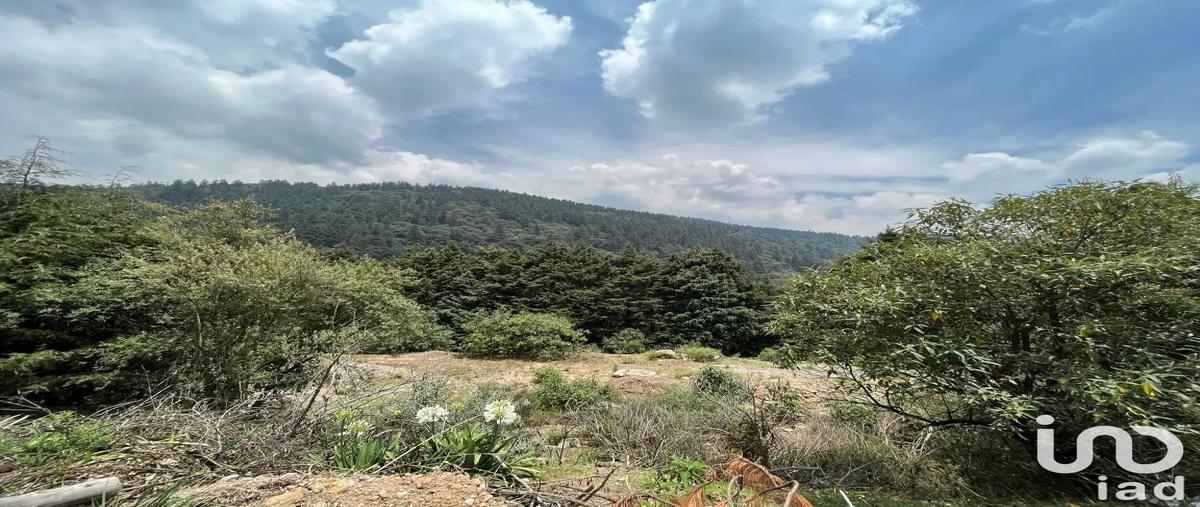 Foto de rancho en camino a san juan la cañada , ignacio allende, huixquilucan, méxico, 28720994 foto 05 Foto de rancho en renta en camino a san juan la cañada , ignacio allende, huixquilucan, méxico, 28720994 No. 05